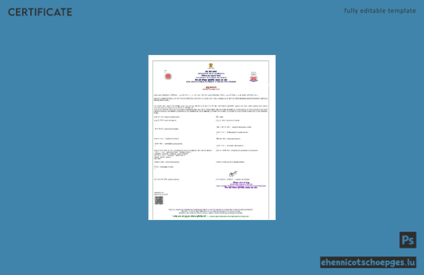 Vorschau eines Beispiels für eine Sterbeurkunde des indischen Gesundheitsministeriums von Uttar Pradesh